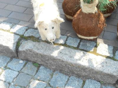 Powiększ