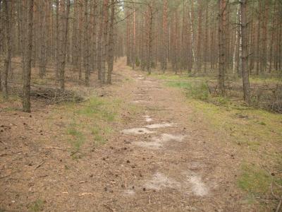 Powiększ