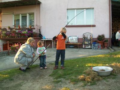 Powiększ
